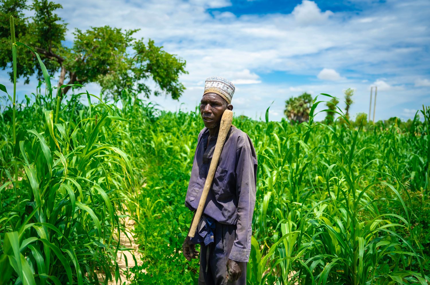 African farmer working in a green field