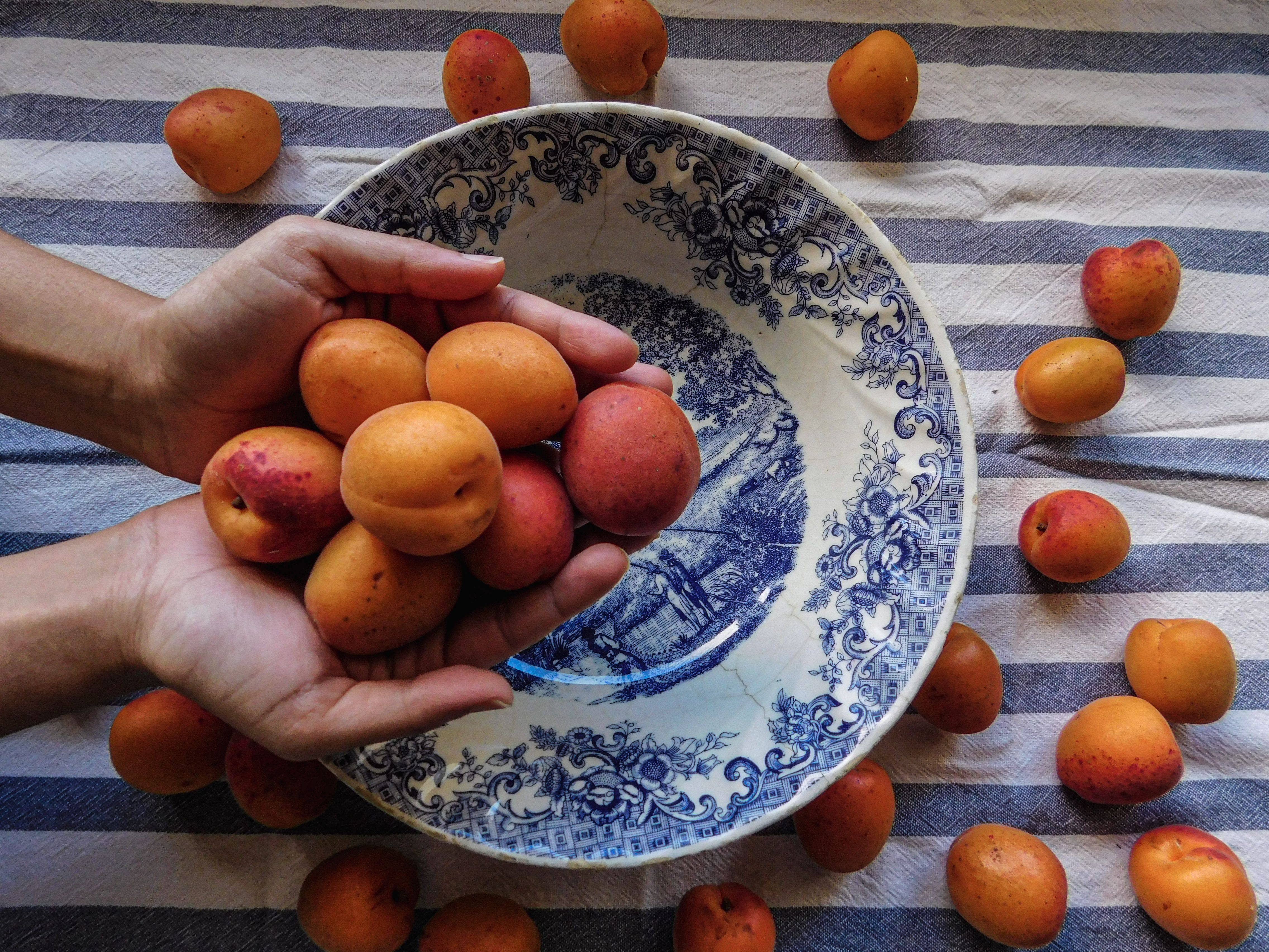 Hands holding ripe apricots over a decorative ceramic bowl on a striped cloth, highlighting fresh produce.