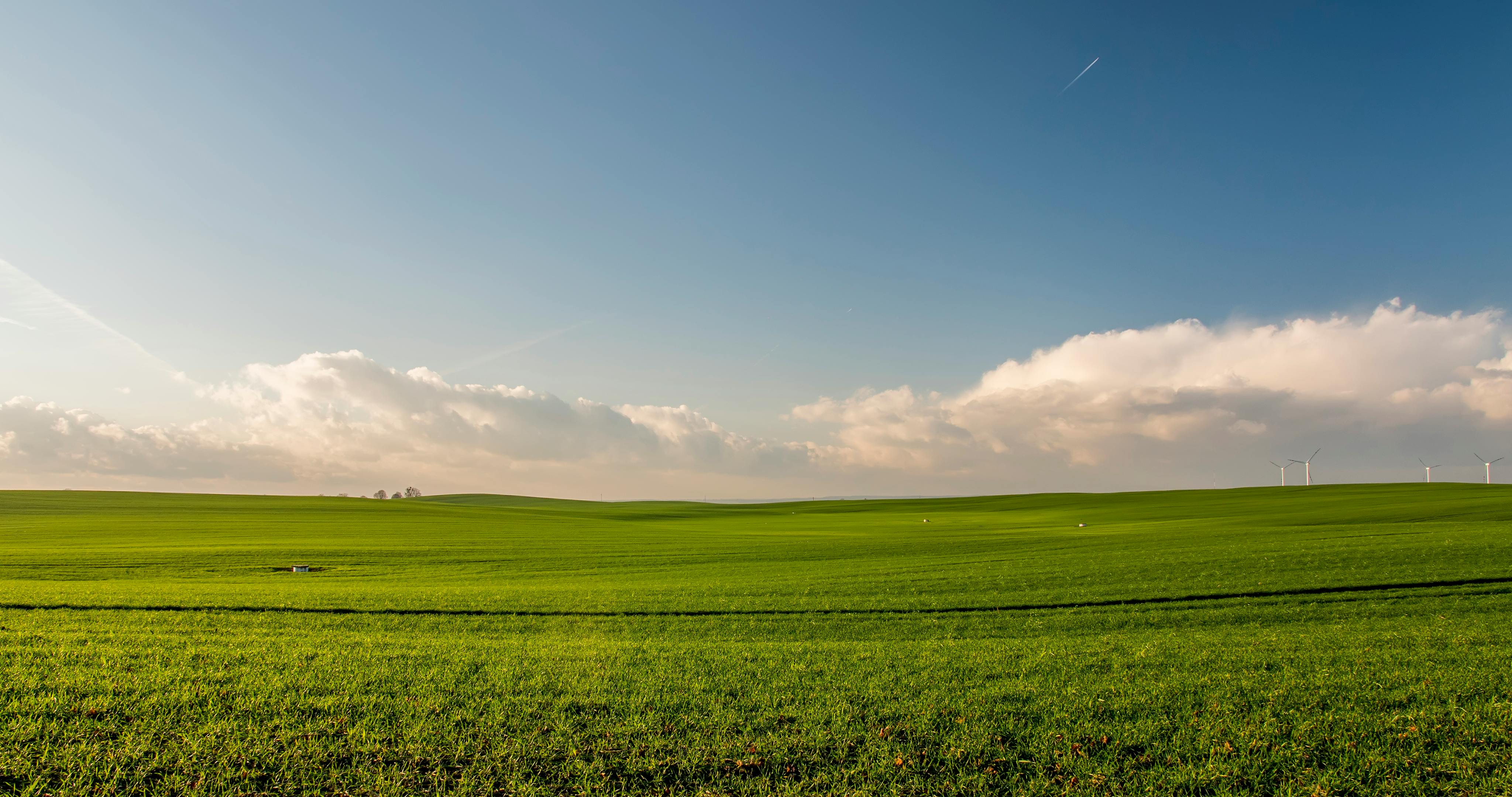 Oh Land gras cloud green nature r HD wallpaper  Peakpx