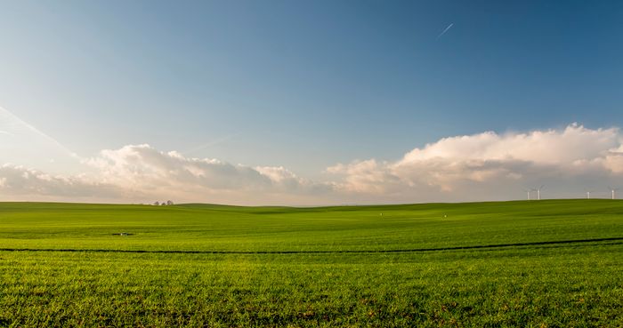 Green pasture under open sky, no people