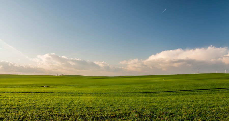 Open green pasture under sky, no people