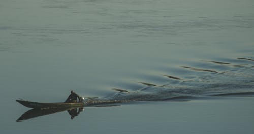 Darmowe zdjęcie z galerii z fale, łódź, motorówka