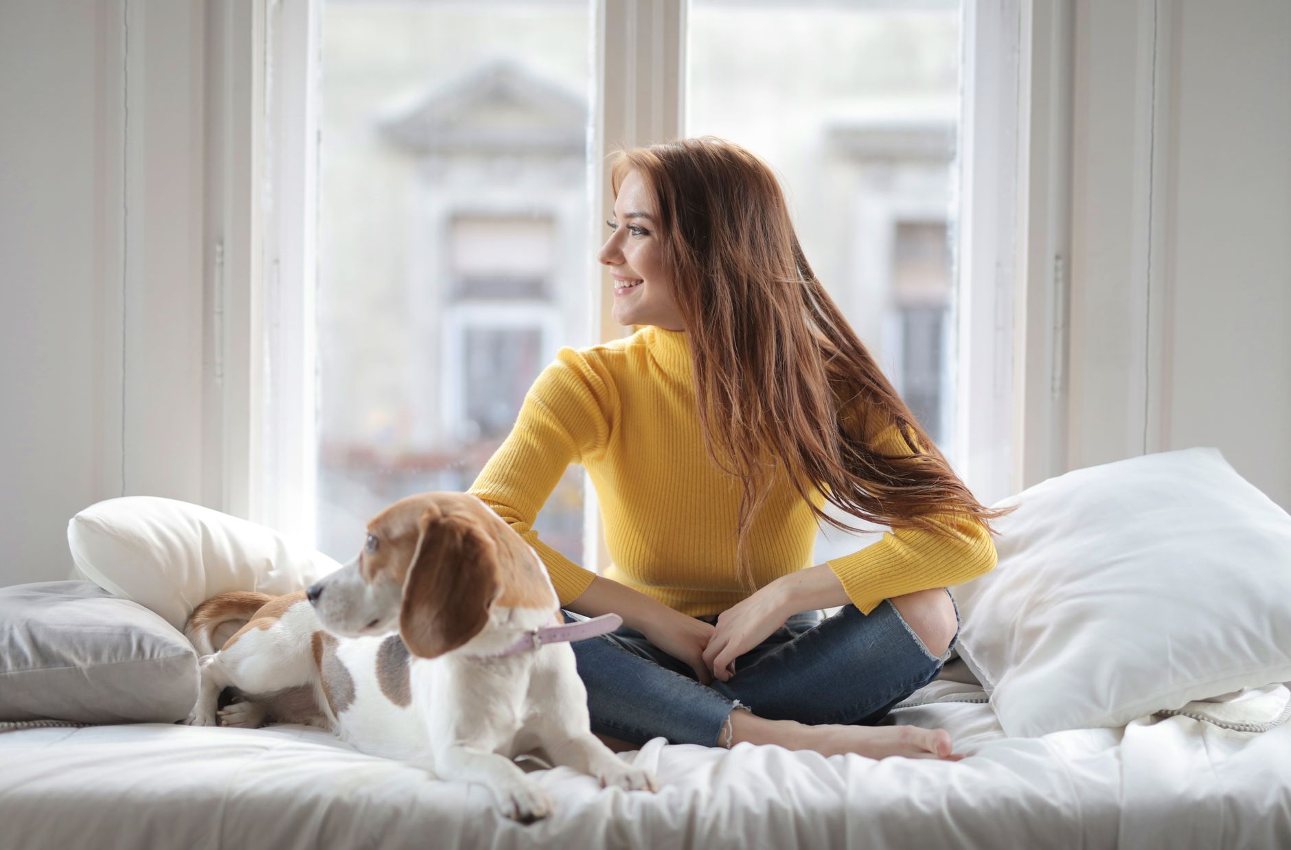 Cheerful young lady in yellow sweater and jeans sitting on comfortable bed with pillows near window with Beagle dog and looki