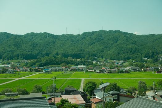 Beeindruckender Berg & Grün – Anime-Stil Hintergrundbild