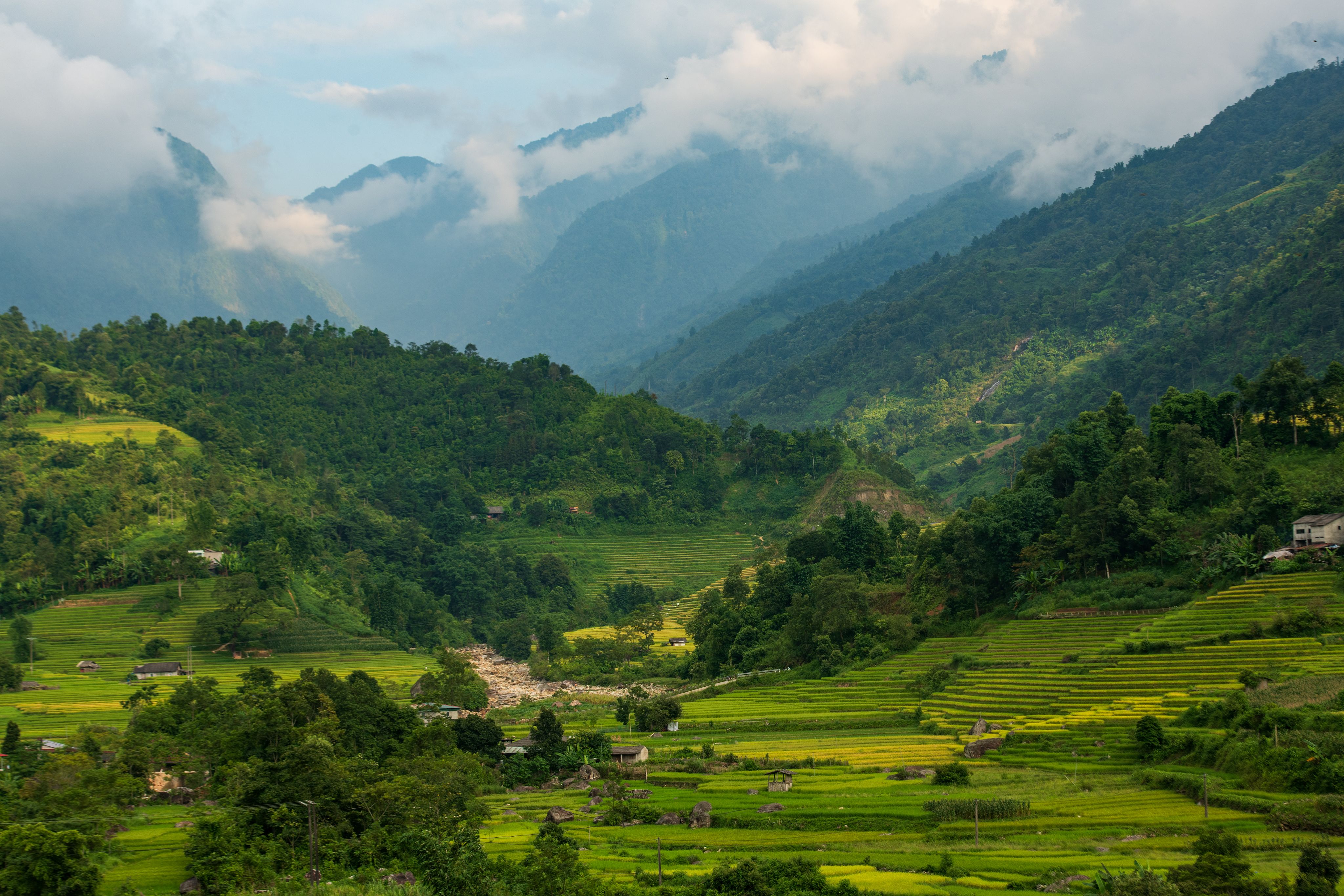 Stunning aerial shot of lush green terraced rice fields with mountains in the background.
