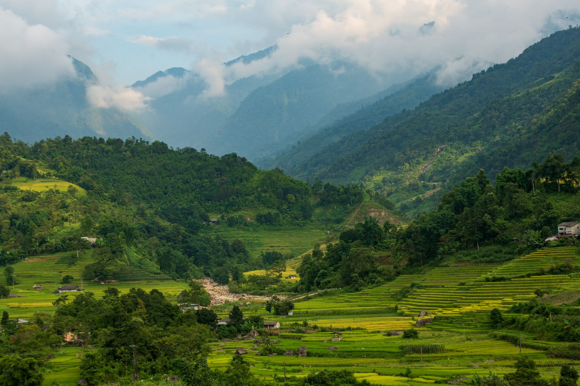 Stunning aerial shot of lush green terraced rice fields with mountains in the background.