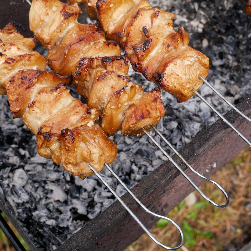 Persian Pomegranate-Walnut Marinade for Party Chicken Skewers
