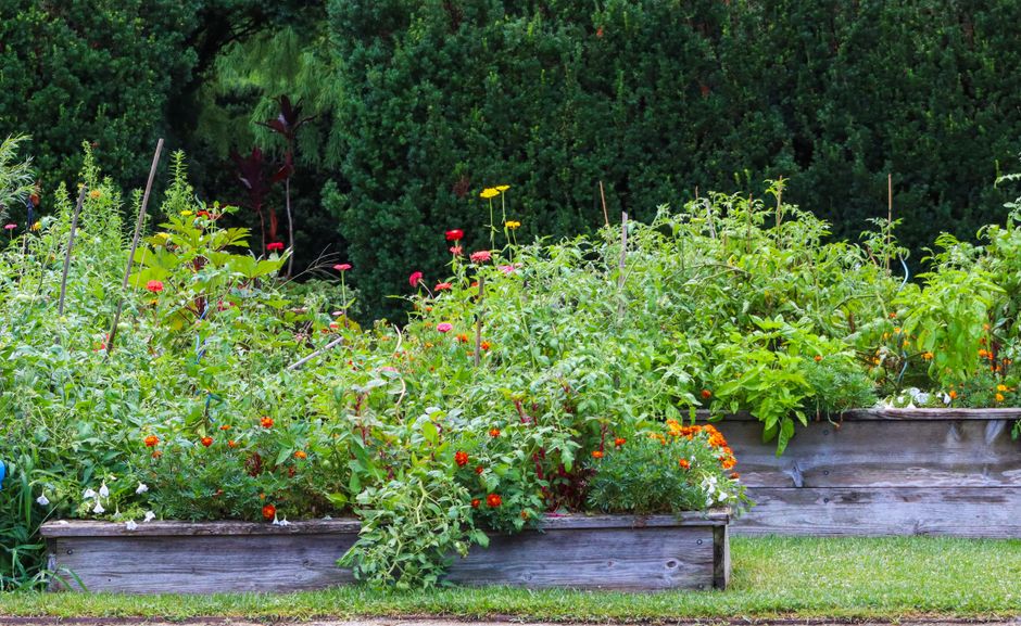 raised garden bed ideas