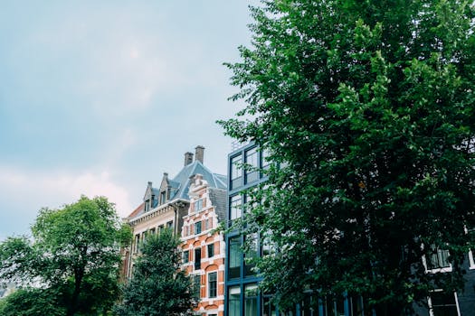 Scenic view of residential buildings in Amsterdam with lush greenery, showcasing traditional and modern architecture.