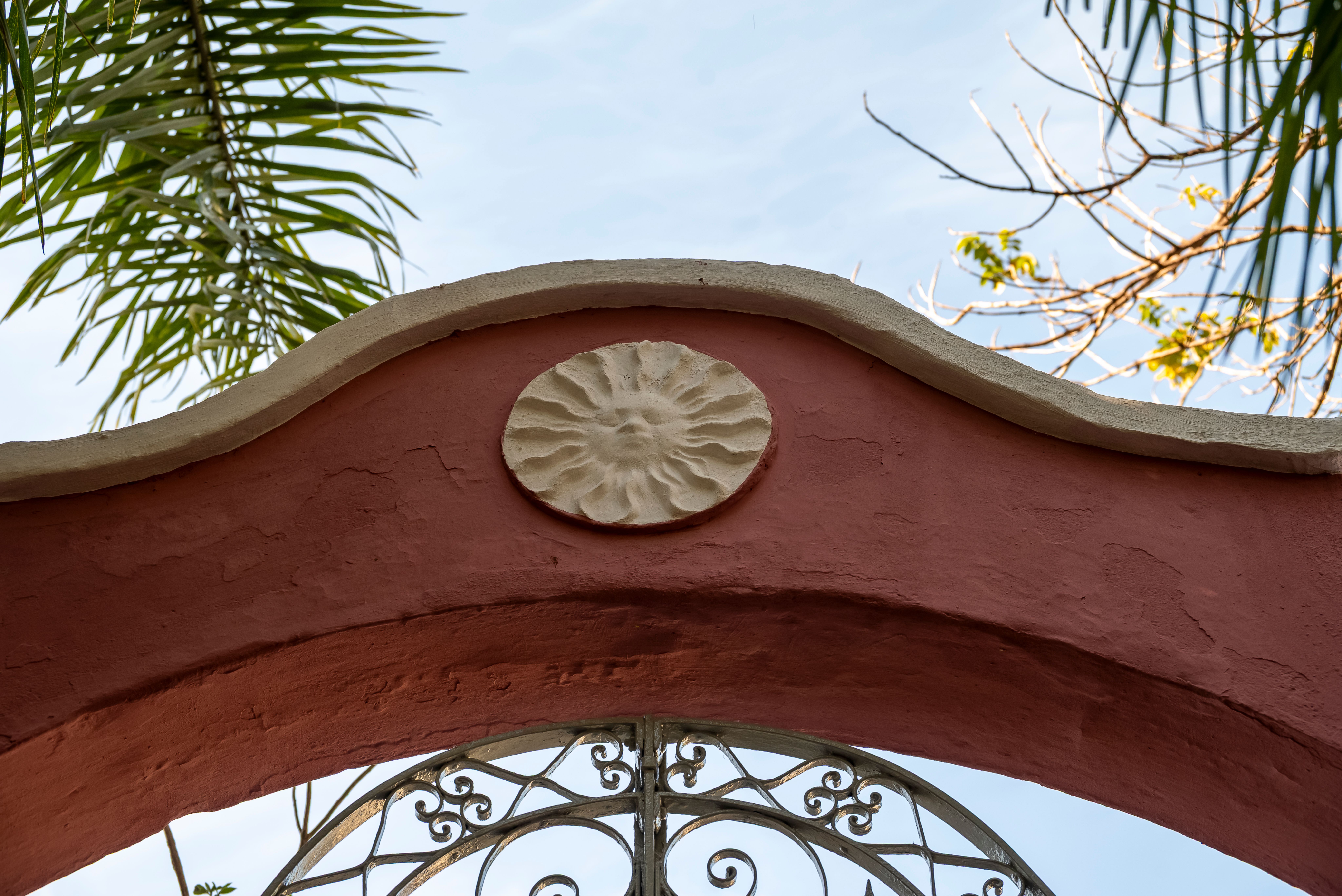 garden arch for climbing plants