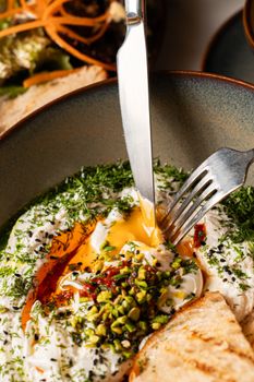 Creamy labneh topped with herbs, pistachios, and olive oil, served with grilled bread.