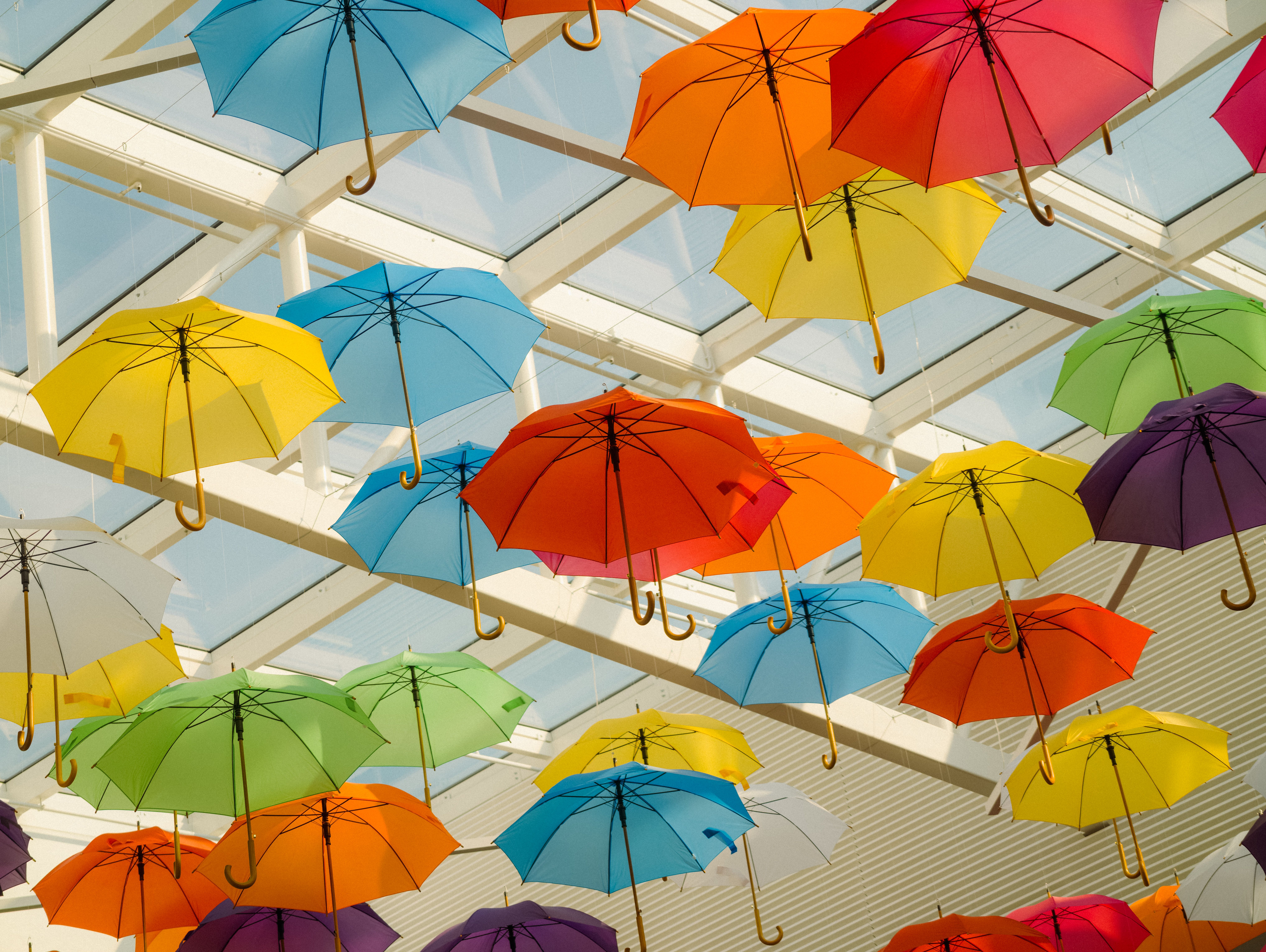 Why Insurers Pool Risks Instead Of Pricing Individuals