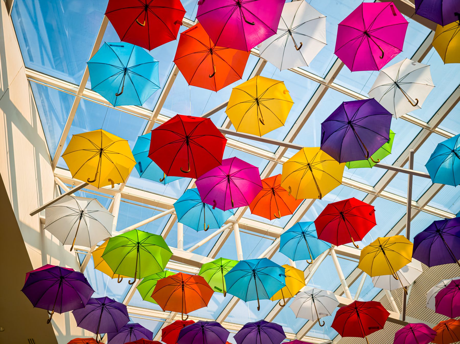 Rainy Days in Albany: Indoor Ideas for Families and Workers