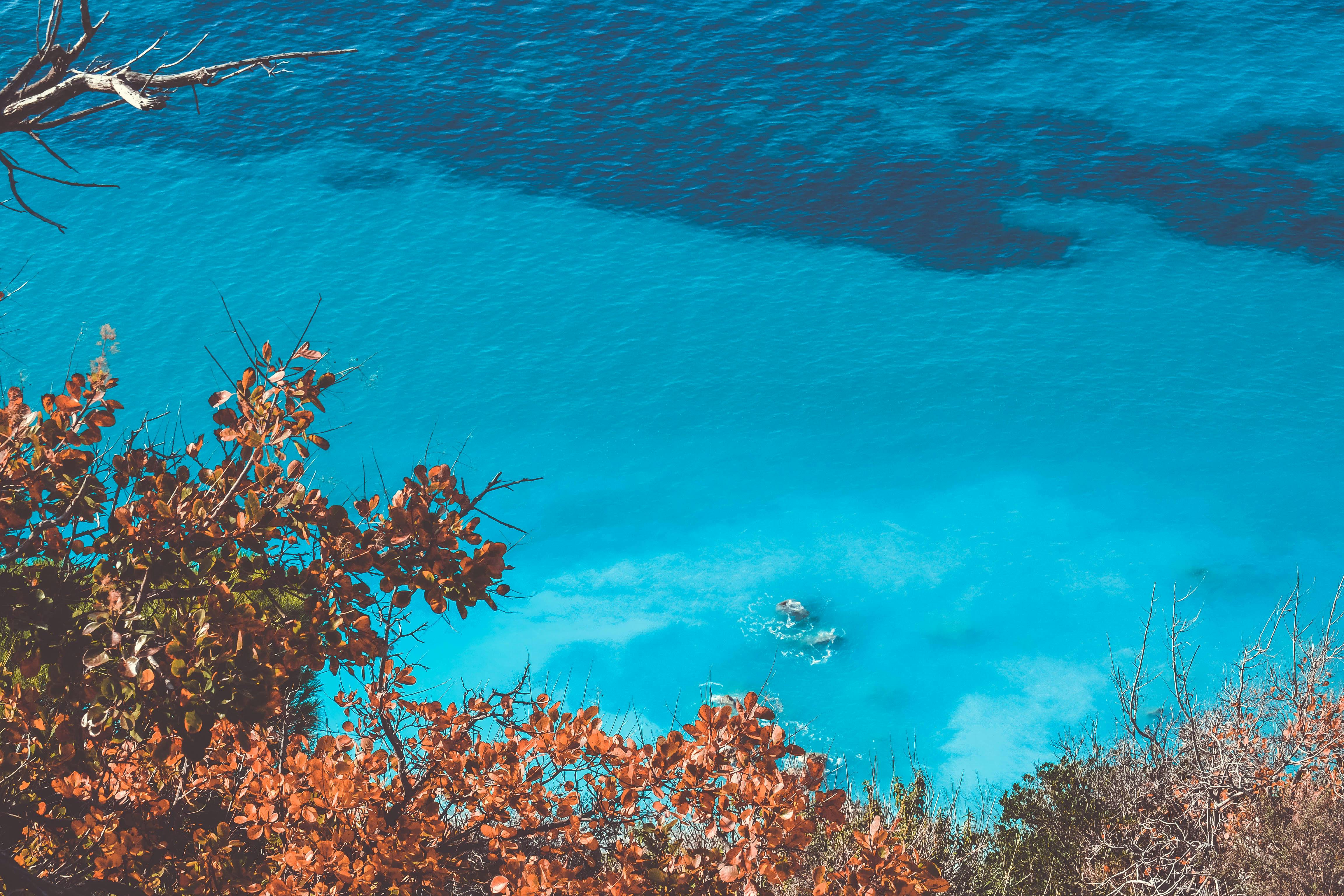 Blue Ocean Under Sunny Sky \u00b7 Free Stock Photo