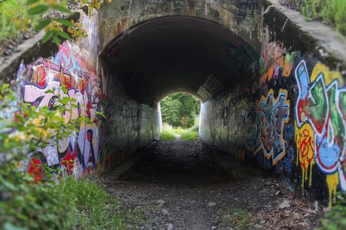 Free Colorful graffiti adorns the walls of a tunnel in Needham, offering a vibrant contrast to the natural surroundings. Stock Photo