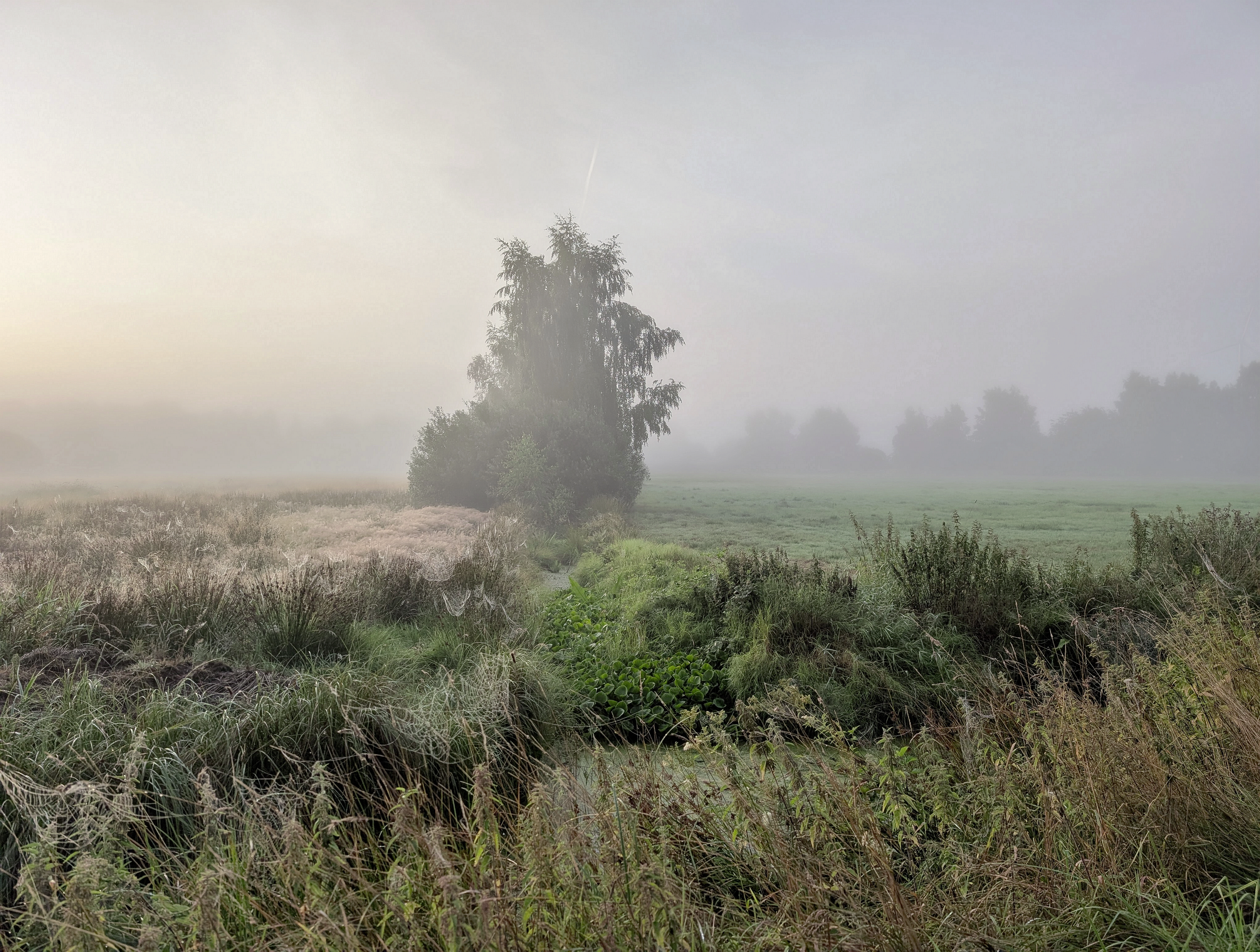 A split screen showing a chaotic news alert on one side and a peaceful nature scene on the other