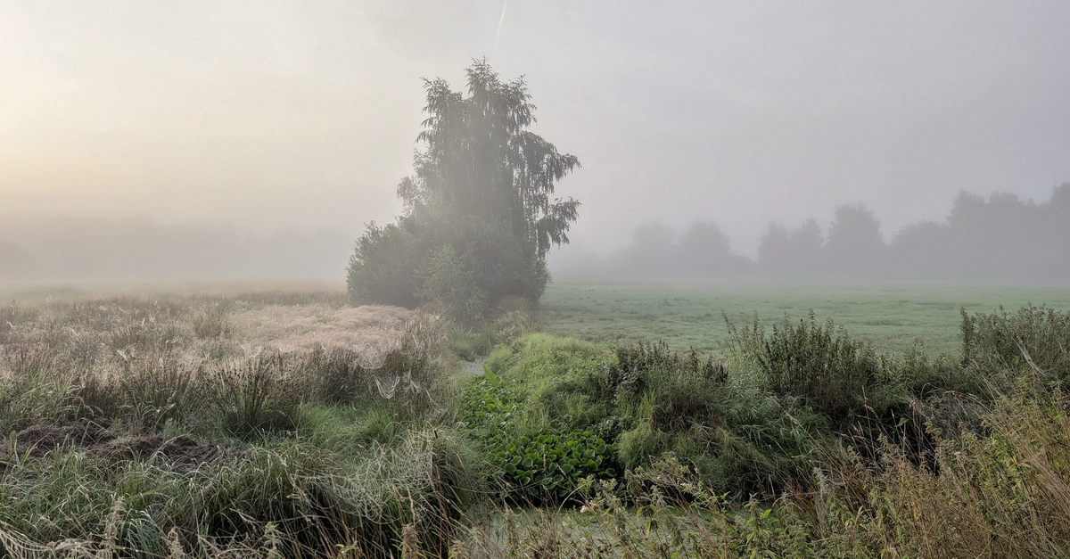 A split screen showing a chaotic news alert on one side and a peaceful nature scene on the other