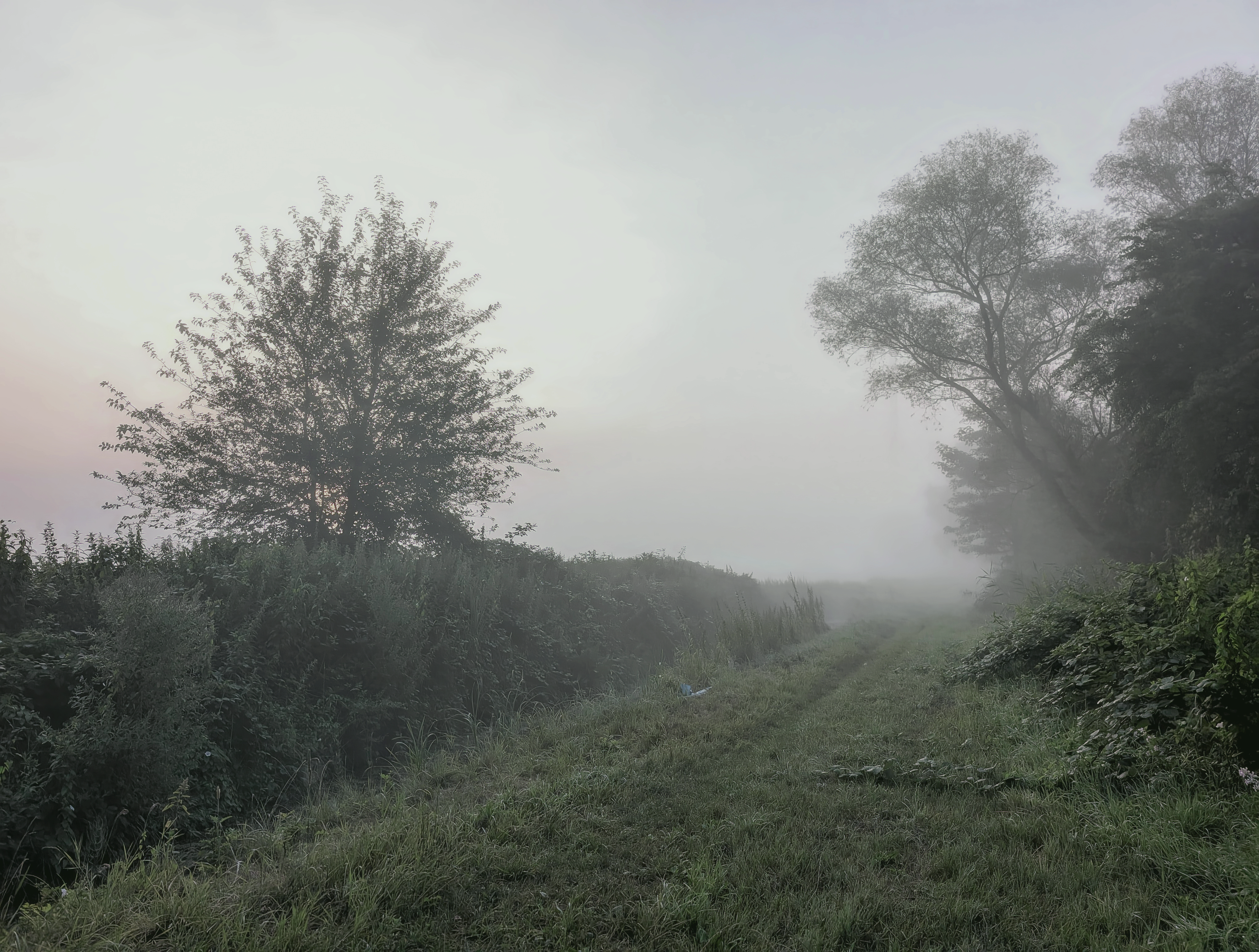 재고 관리 소프트웨어 도입 시 예상되는 비용과 절감 효과 상세