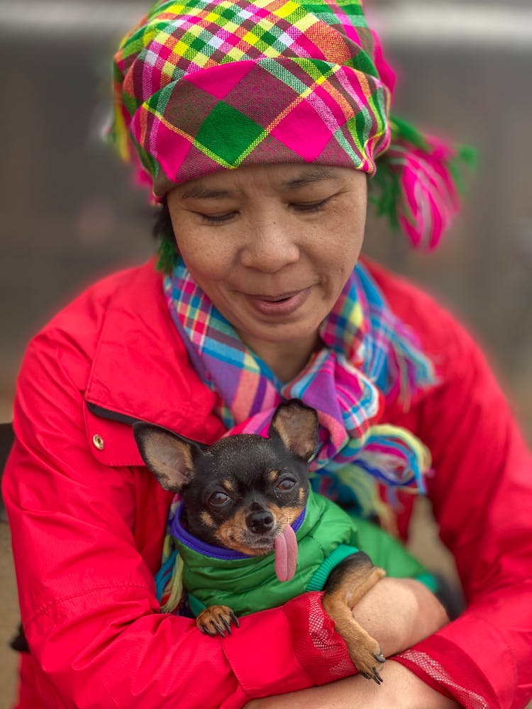 Funny Purebred Puppy In Hands Of Asian Woman