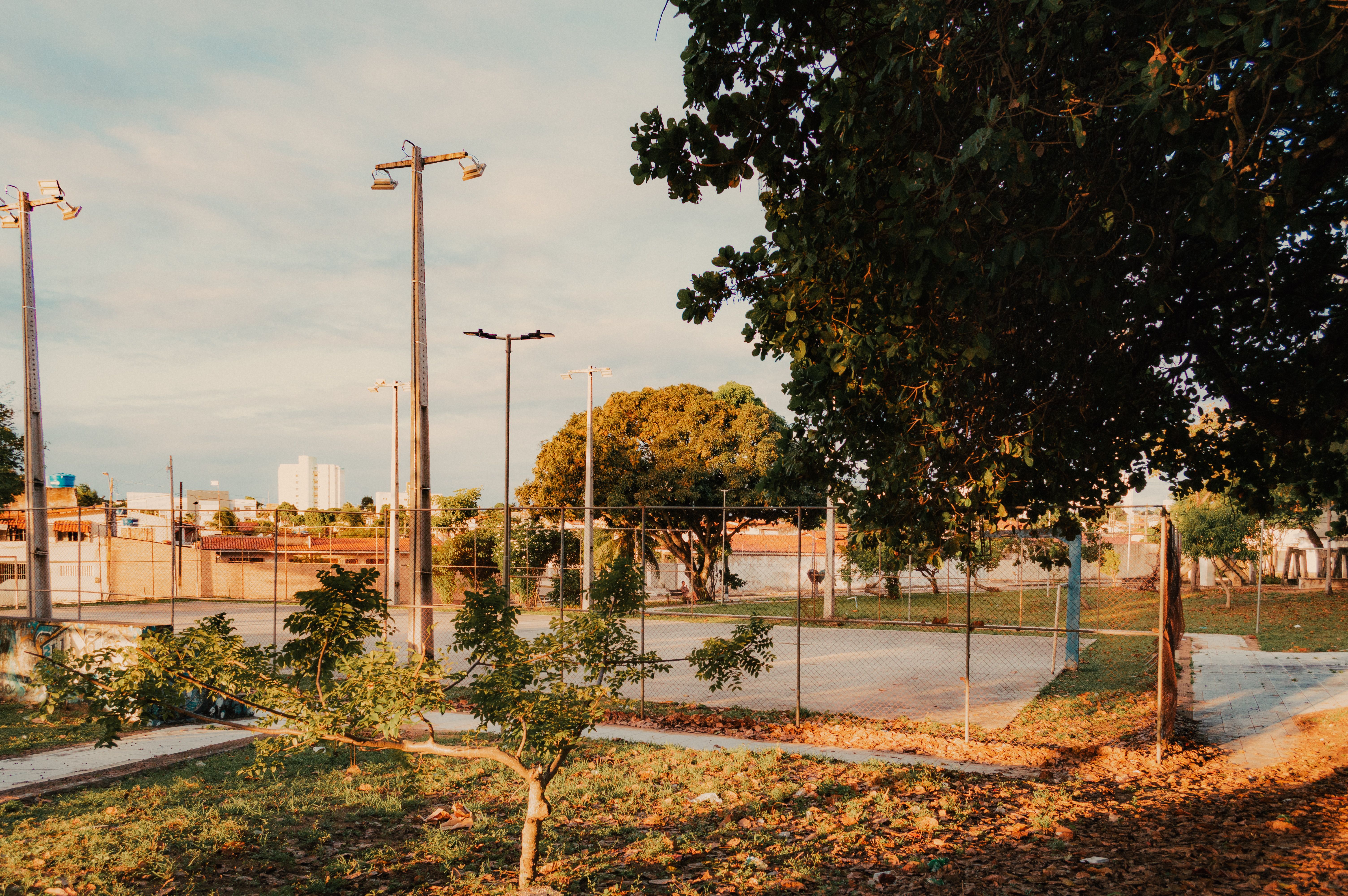 Automação com IA: Como otimizar margens operacionais em um cenário de custos crescentes