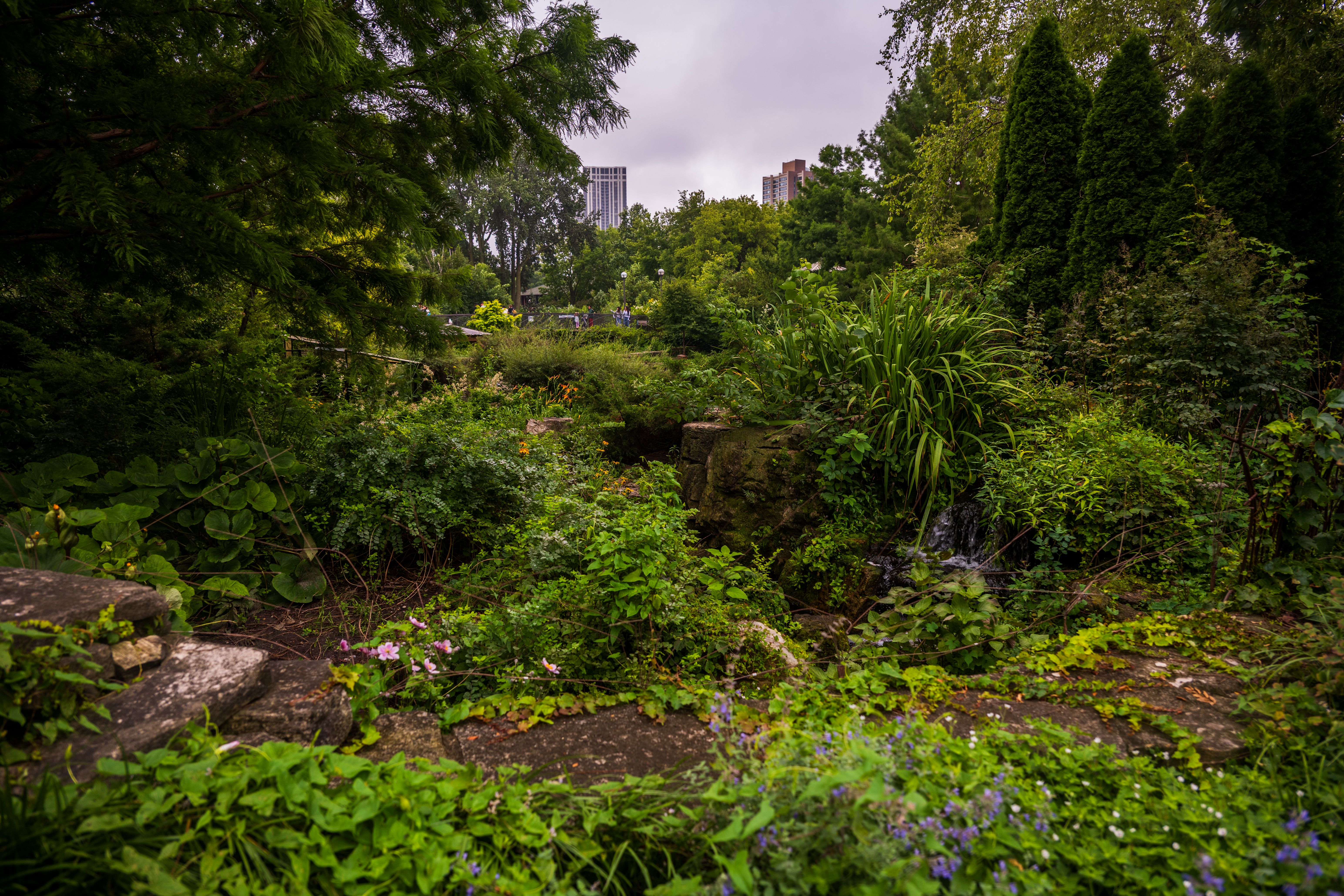 A vibrant urban garden featuring a small waterfall with city skyline in the background.