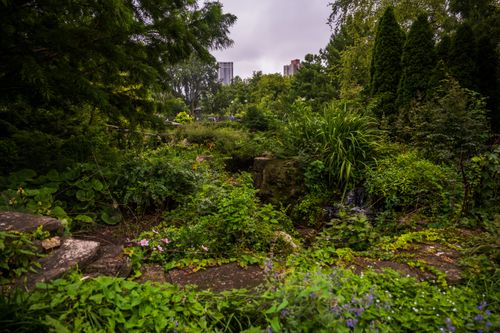 Free A vibrant urban garden featuring a small waterfall with city skyline in the background. Stock Photo