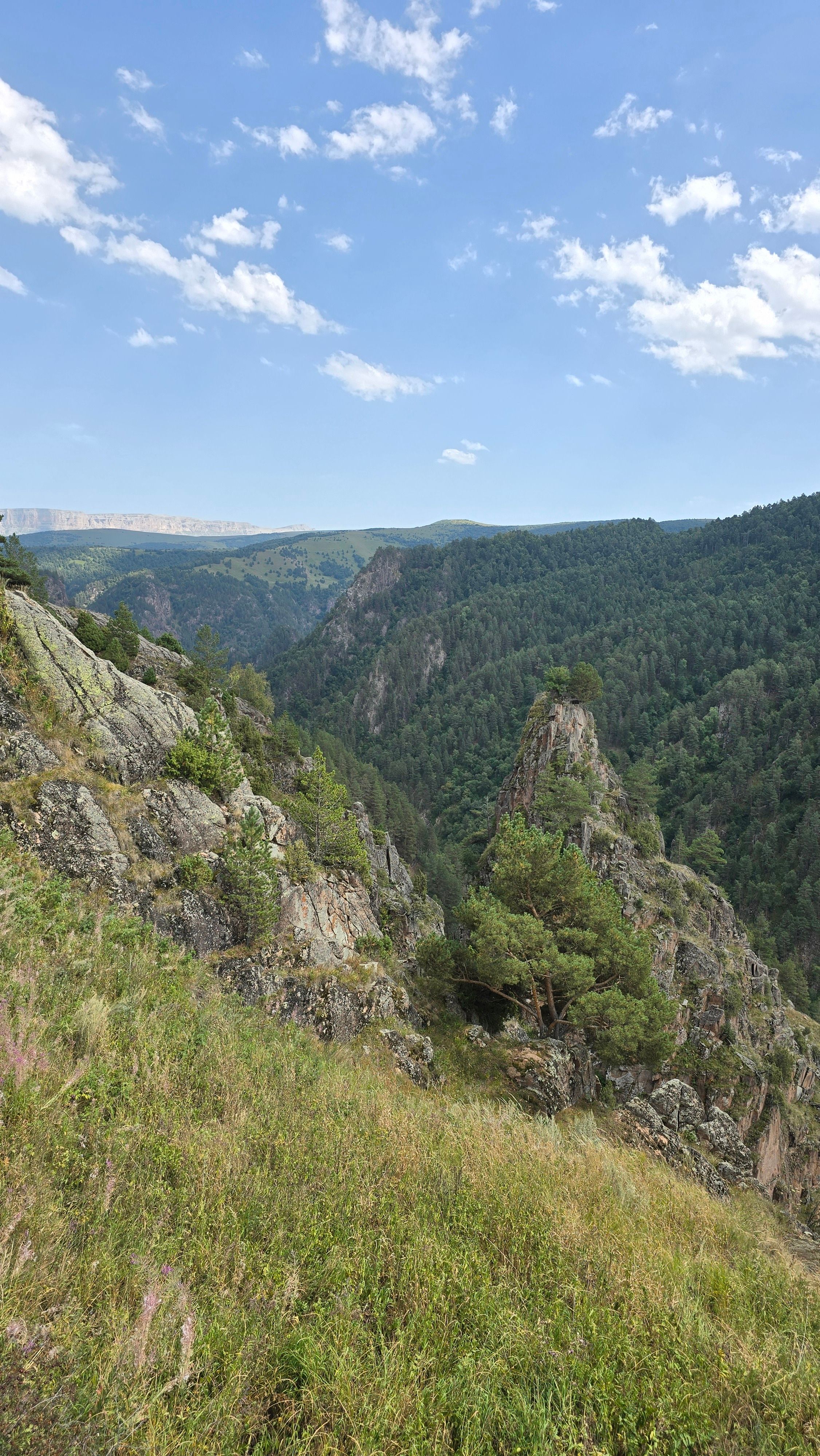 Beautiful view of a mountain landscape with lush green trees and rocky cliffs under a blue sky.