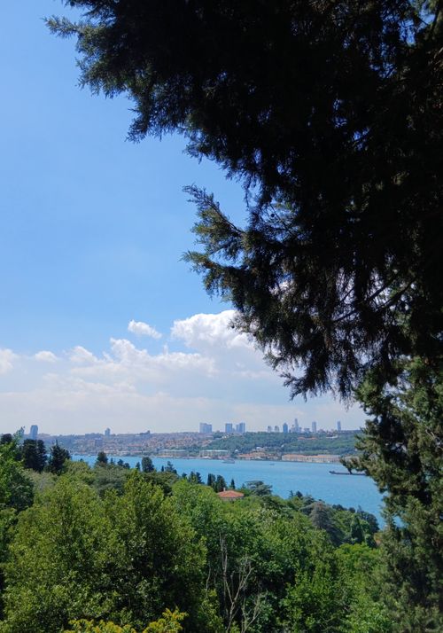 Free A picturesque view of the Bosphorus Strait with the skyline of Istanbul in the background, framed by lush greenery. Stock Photo