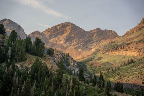 Free Capture of a stunning mountain landscape at sunrise with lush green forest and rocky peaks. Stock Photo