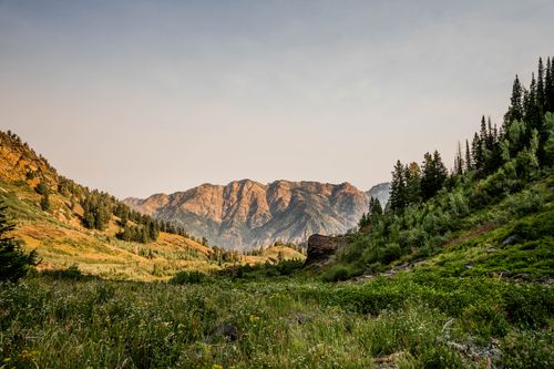 Free Stunning view of a lush green valley with mountainous backdrop and clear sky. Stock Photo