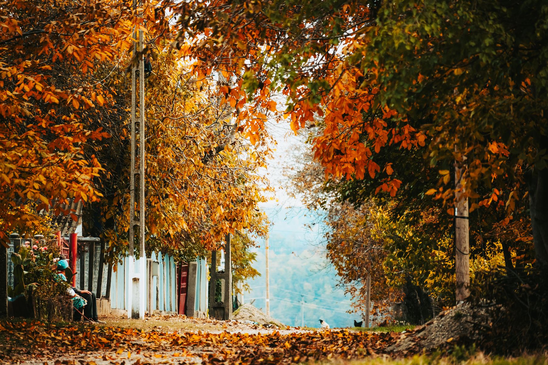 Autumn in Guajiquiro, La Paz: Walking Trails, Local Food, and Where to Stay