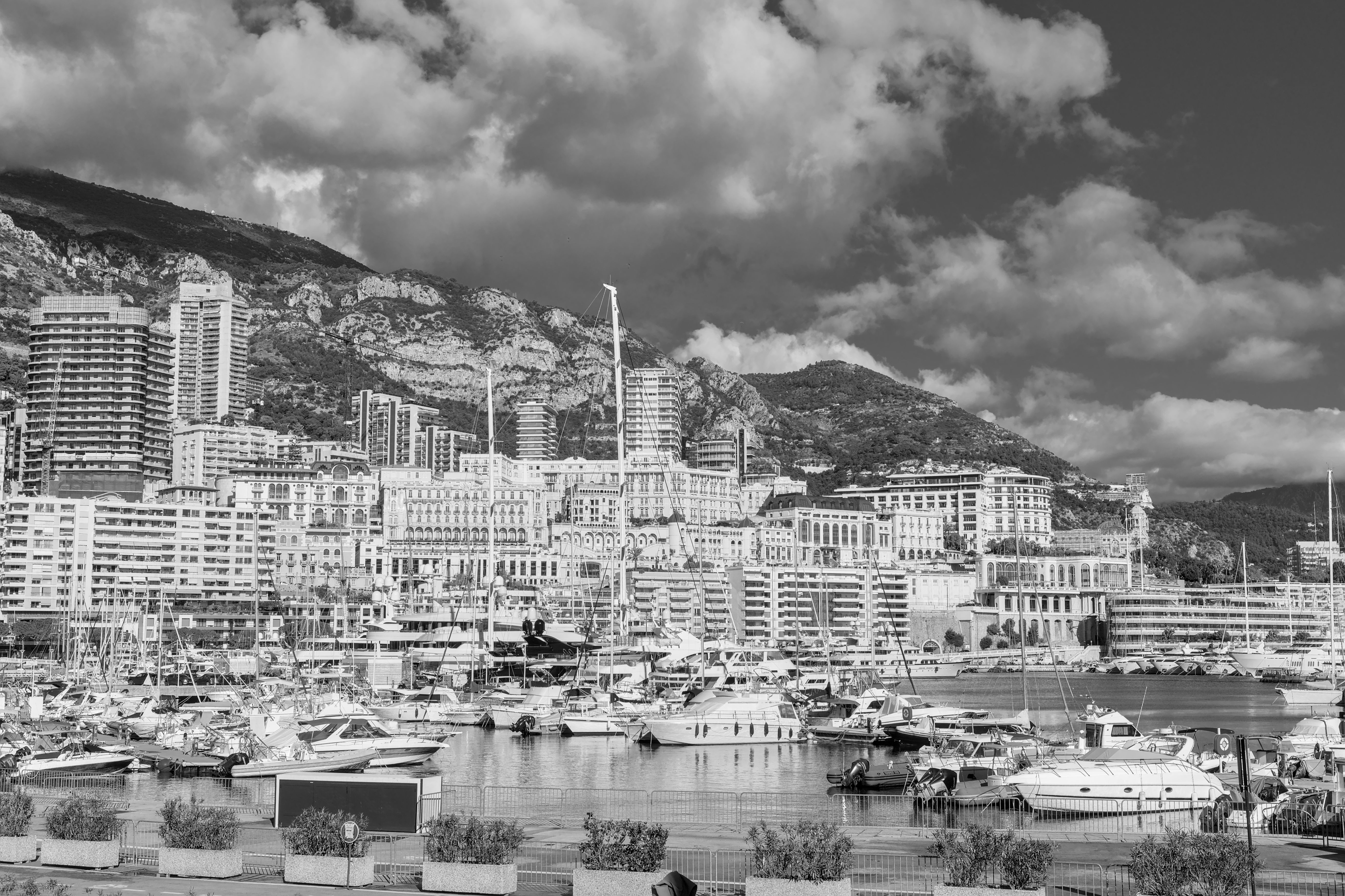 as monaco basket