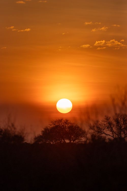 Free Beautiful sunset over a Kenyan landscape with silhouetted trees and a vibrant sky. Stock Photo
