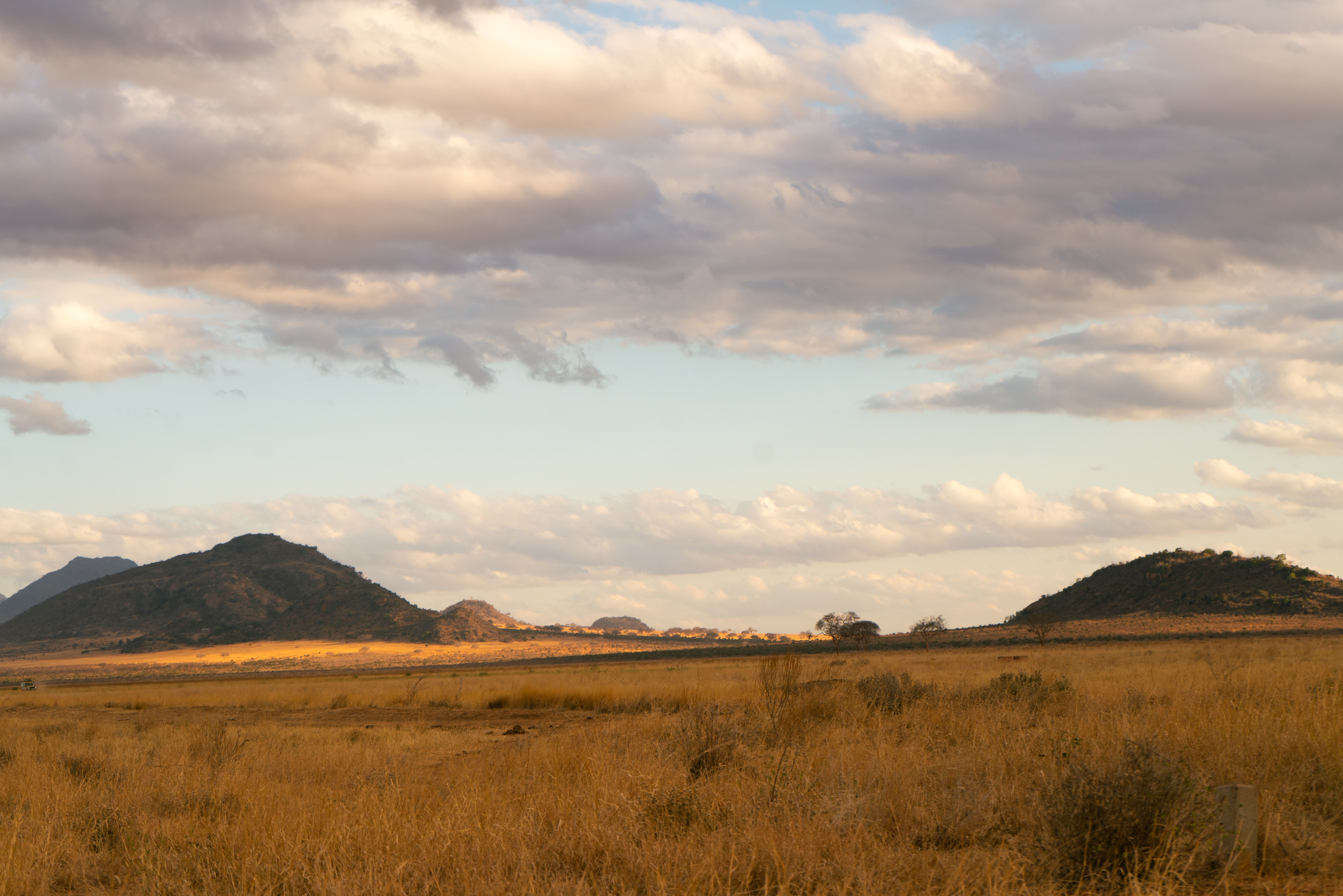 Mount Kenya peaks seen across dry plains north of Nanyuki at first light