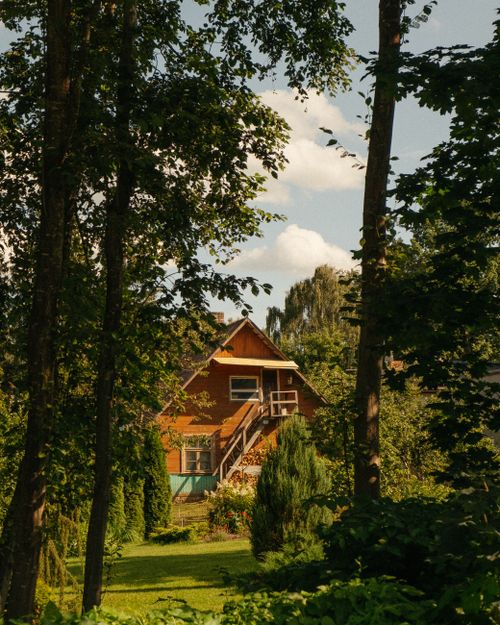 Free Charming wooden cabin nestled among trees in a tranquil forest setting under a clear summer sky. Stock Photo
