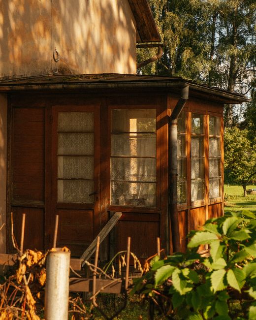 Photo by Elina Volkova on pexels