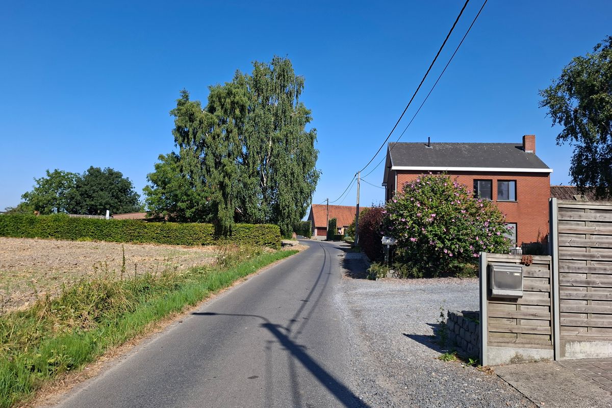 Créer une haie mellifère chez soi - Planter une haie mellifère : méthode, distances et organisation