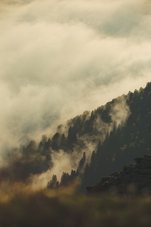 Free A tranquil view of misty mountains covered with lush forests, evoking serenity and natural beauty. Stock Photo