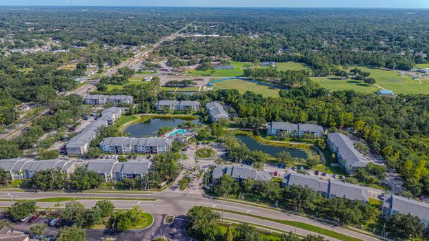 Aerial shot of a residential community with lush greenery in Brandon, Florida, USA.