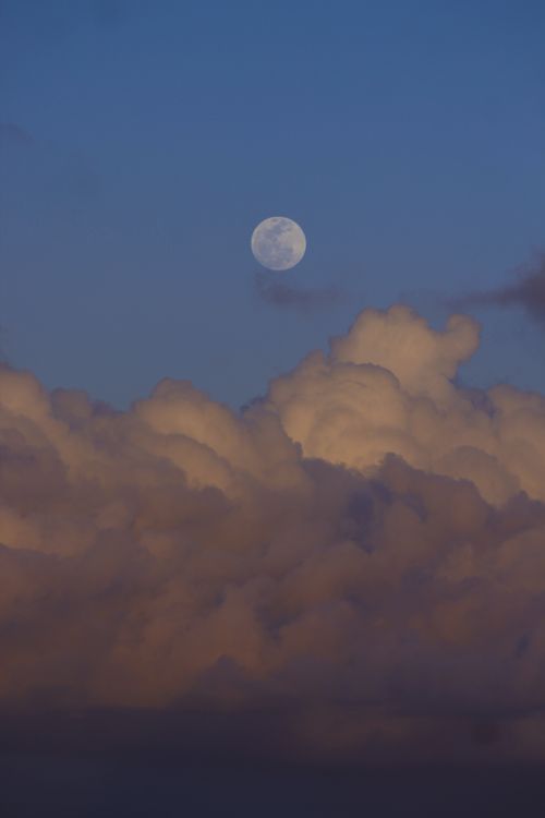 Free A full moon rises above dramatic clouds during twilight, creating a serene and captivating sky scene. Stock Photo