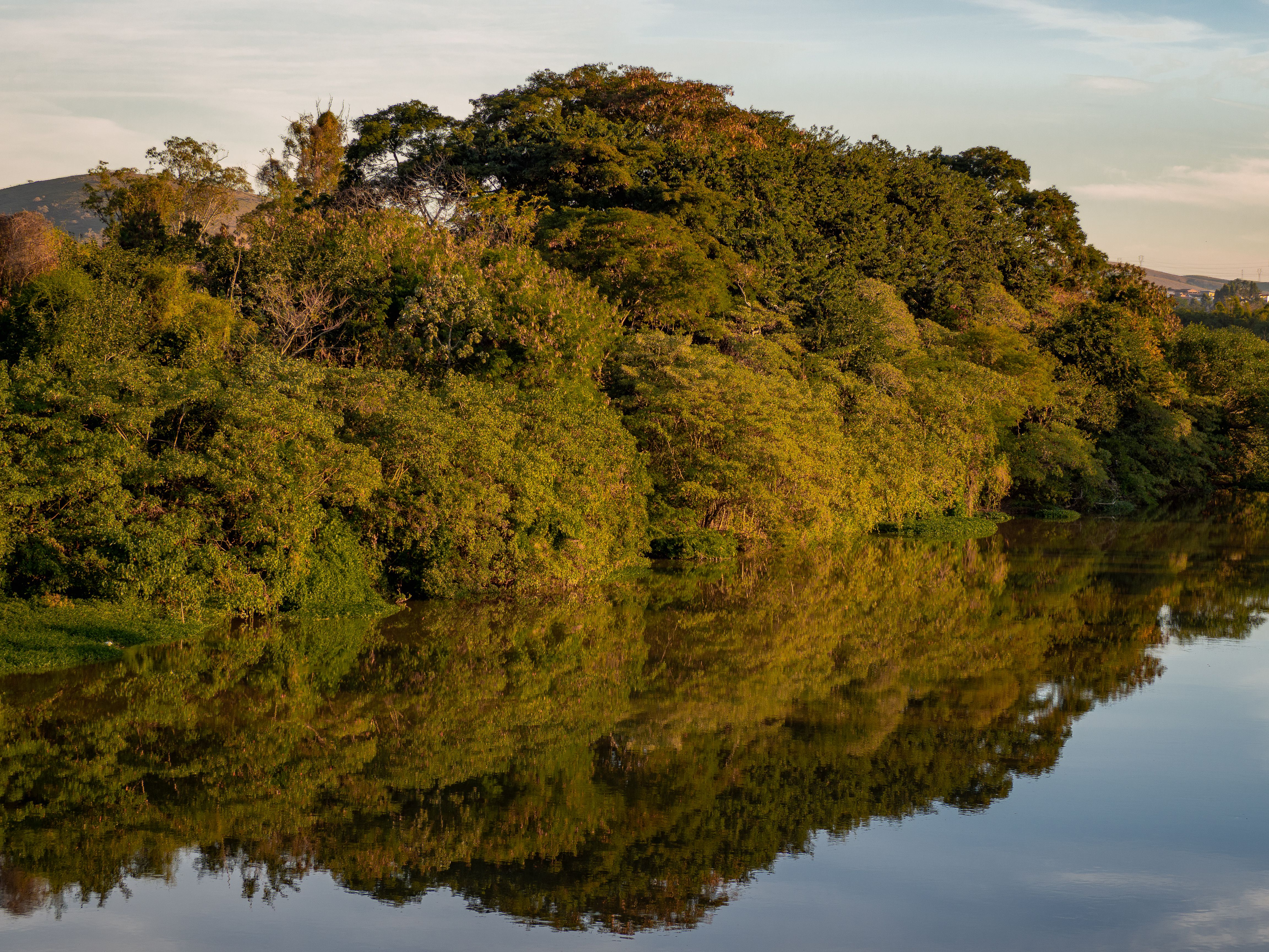 Peaceful reflection of lush forest on a river at sunset, providing a calming natural scene.