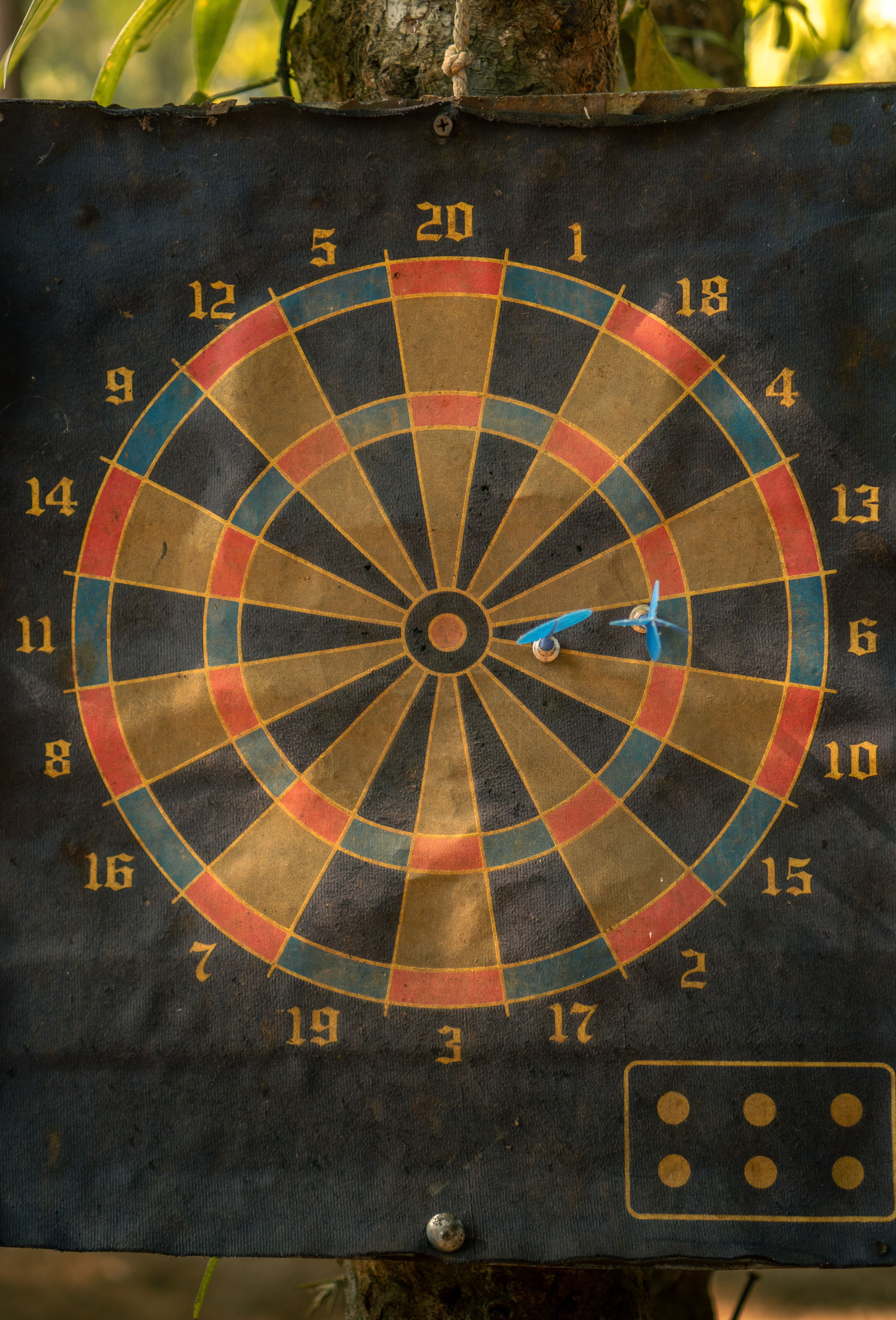 A vintage dartboard on a tree in South Sulawesi forest, with two darts on bullseye.