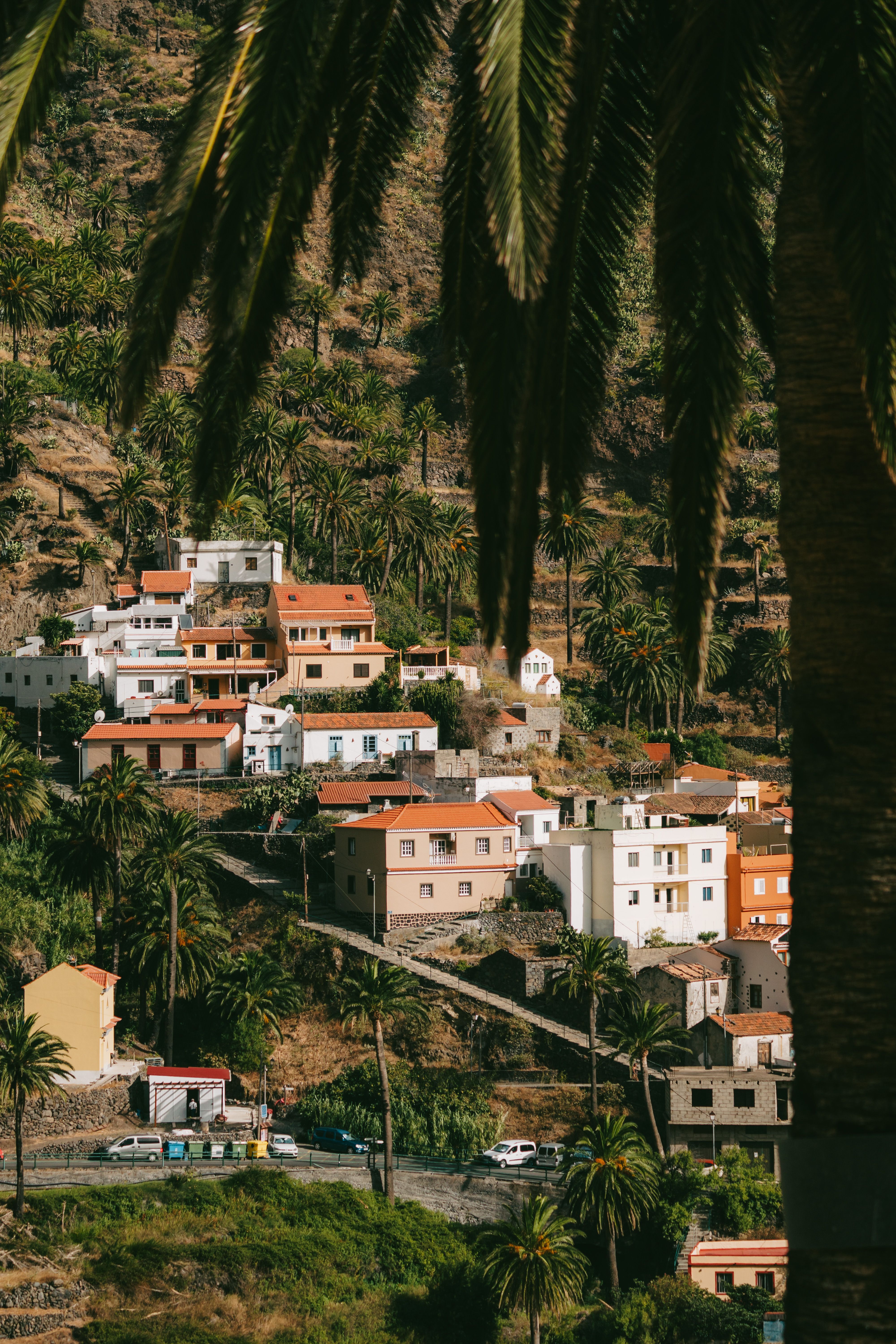 Charming hilltop village in Valle Gran Rey, La Gomera surrounded by lush palm trees and terraces.