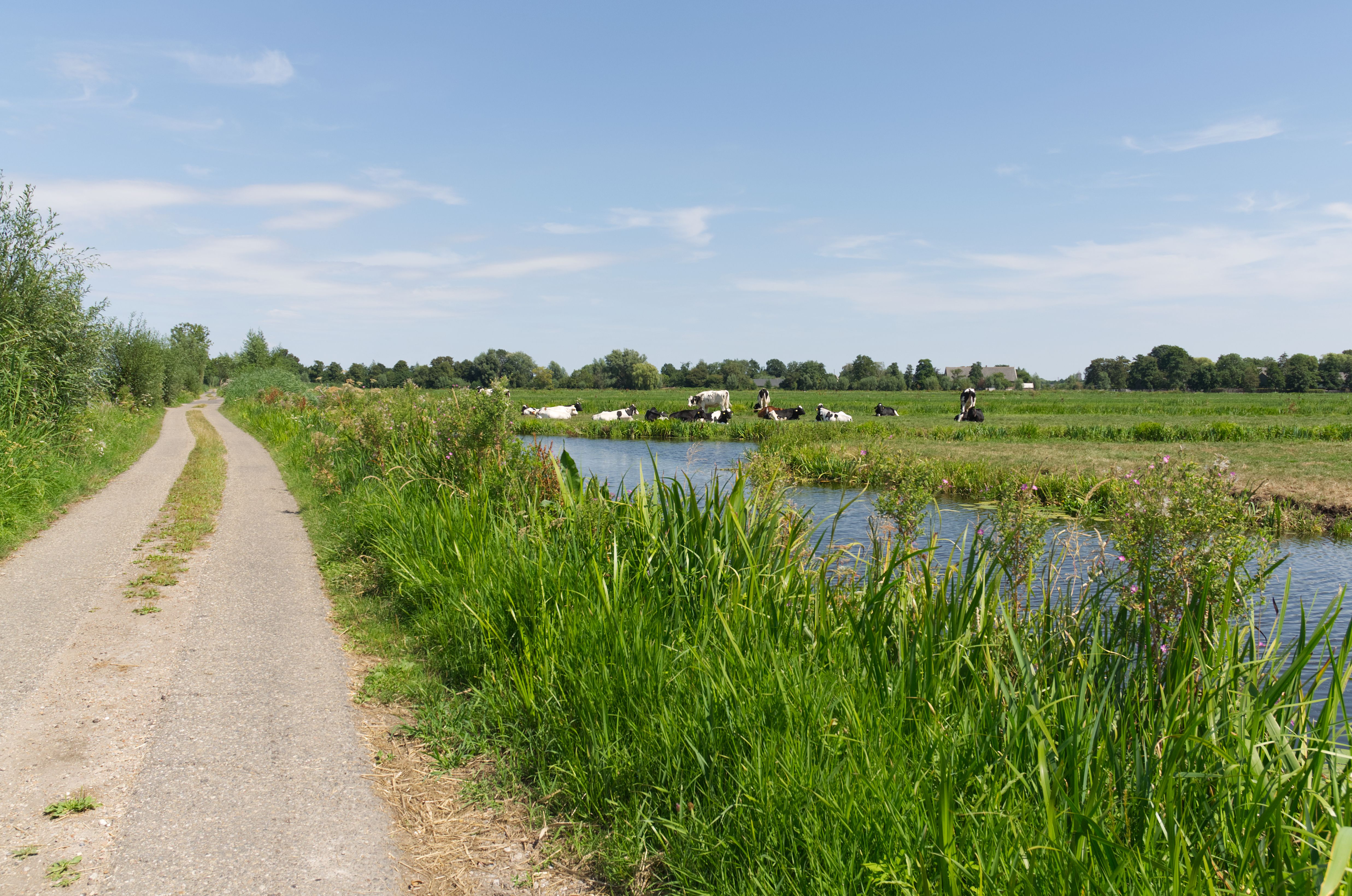 Groene Hart with Kids
