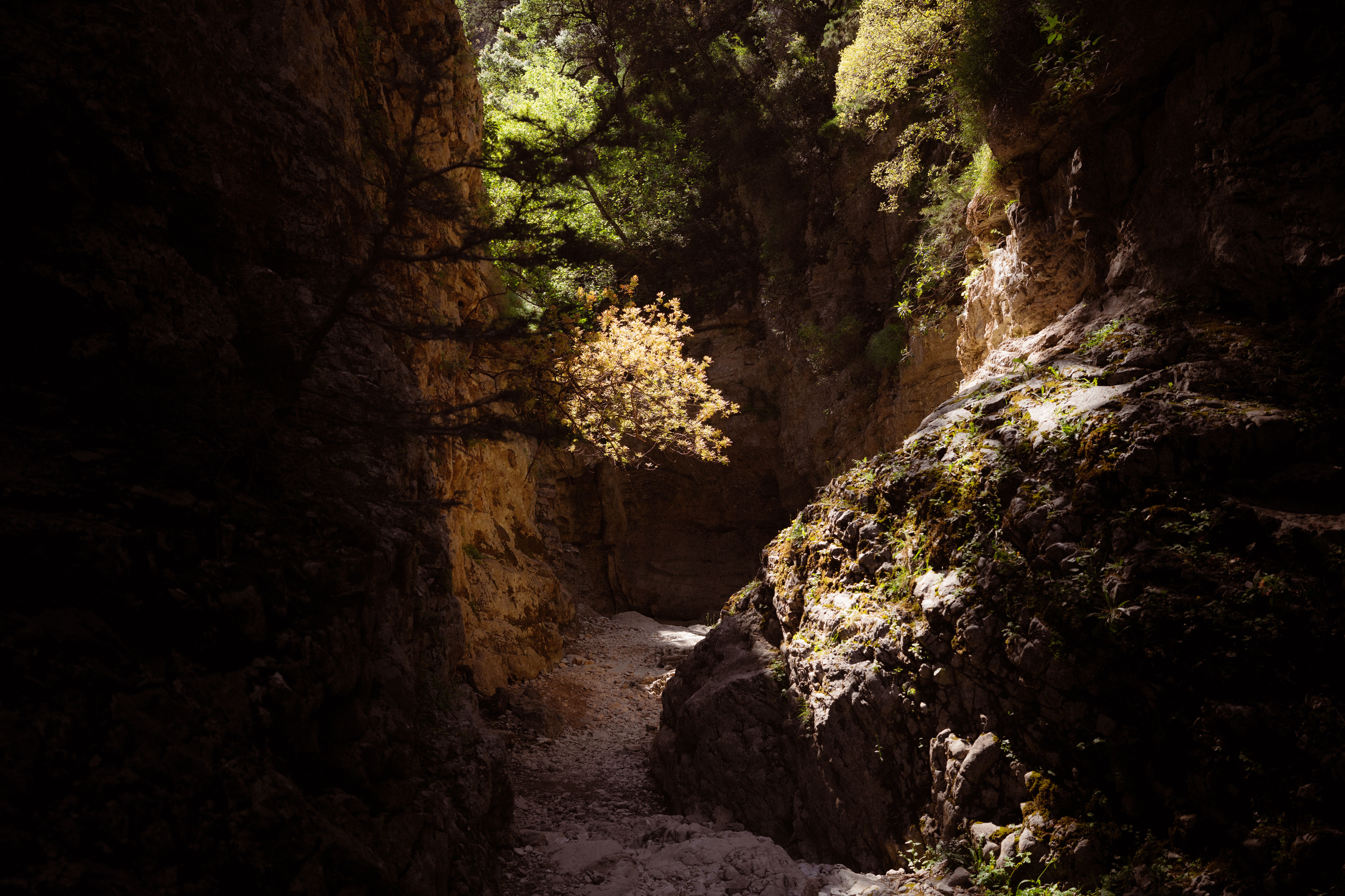 Narrow limestone walls towering over the streambed inside Avakas Gorge in the Akamas