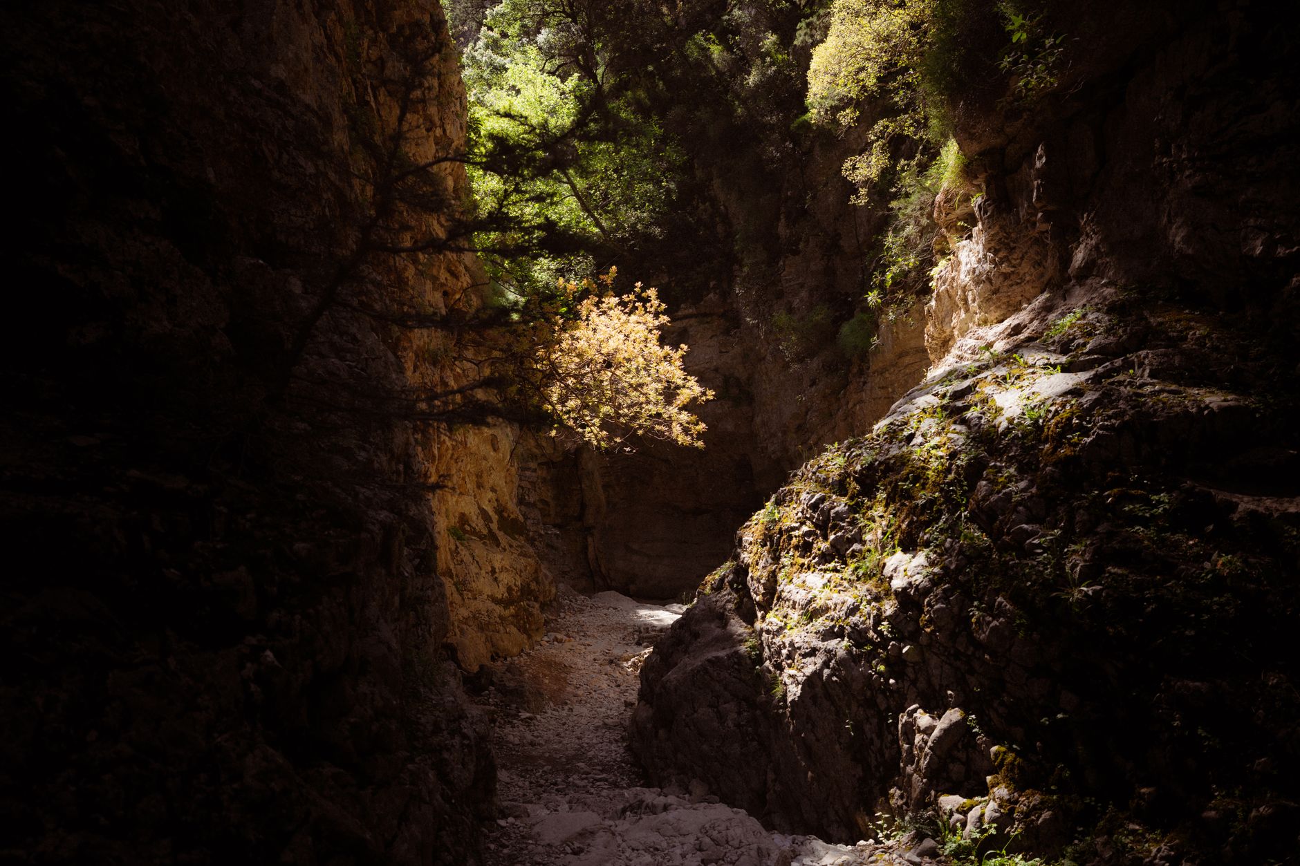 Avakas Gorge — near Pegeia (Coral Bay), Cyprus