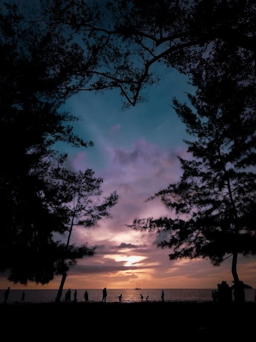 Základová fotografie zdarma na téma krásná obloha, modrá obloha, oceán