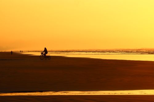 Free A person cycling along a beach during a vibrant sunset, casting a serene silhouette. Stock Photo