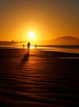 Serene sunset view with silhouettes of people strolling on a beach, casting long shadows.