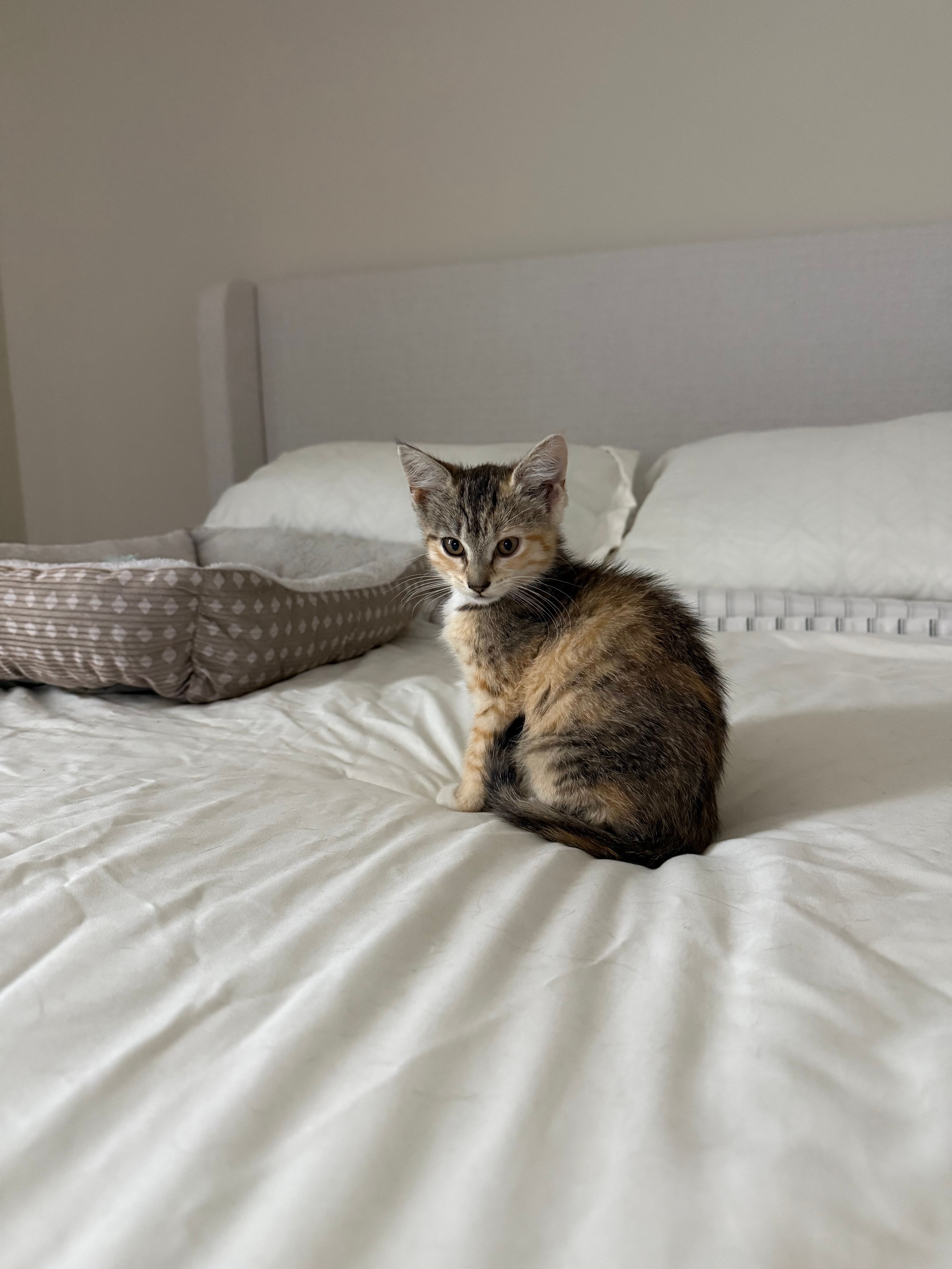 Persiana Horizontal 1,20m